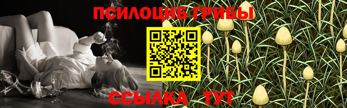 Надым  Псилоцибиновые грибы Psilocybine cubensis  Вход с VPN  Псилоцибиновые грибы Psilocybe 
