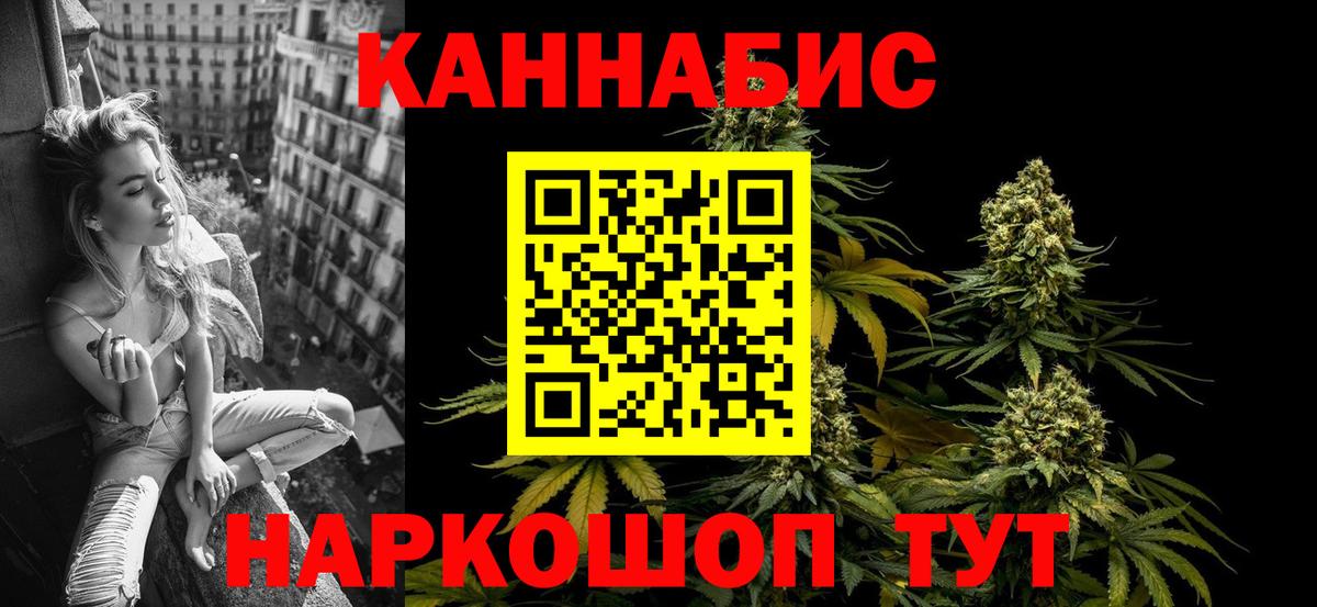 Бошки Шишки план Надым